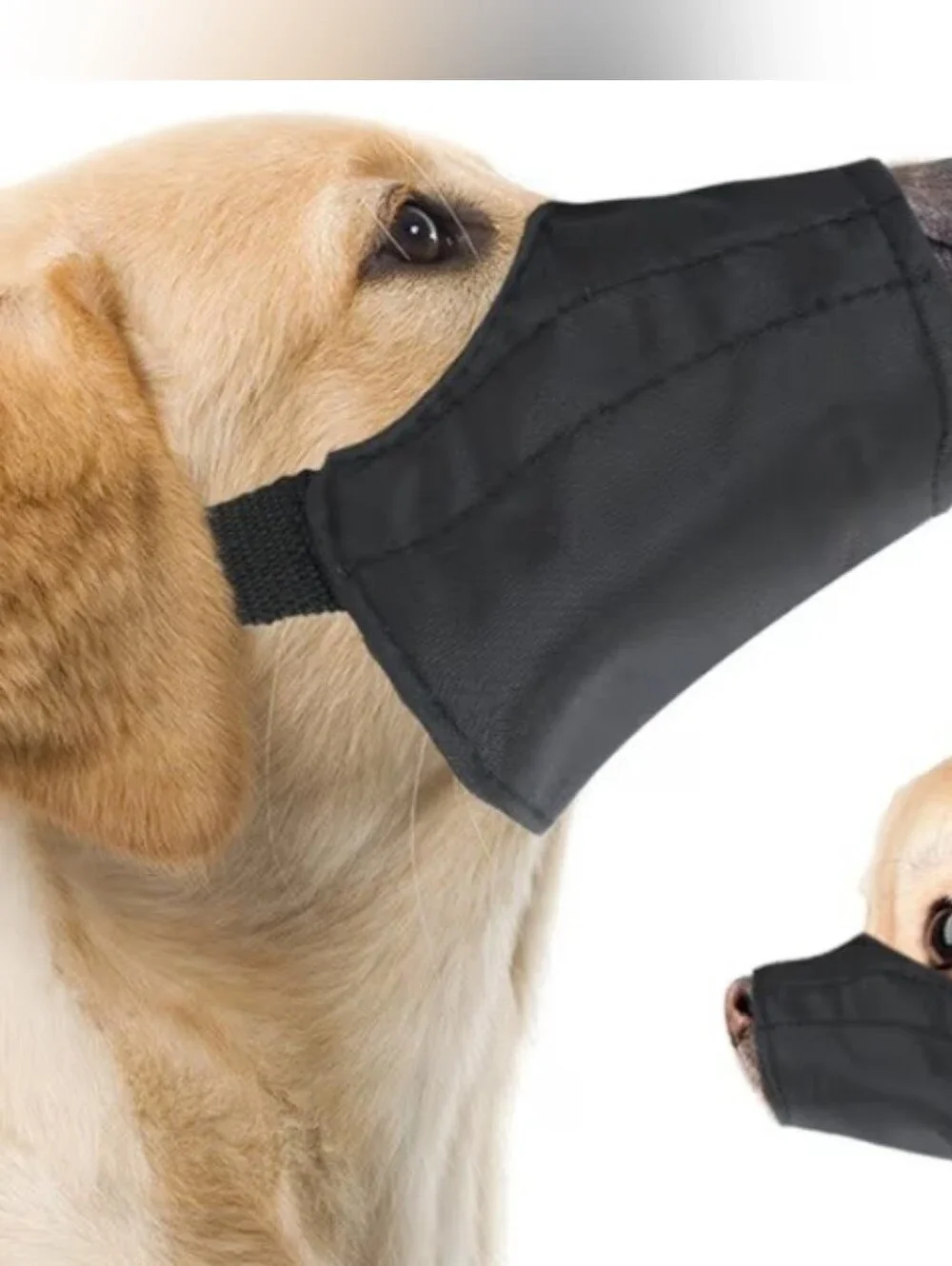 Downtown Pet Supply Black Nylon Dog Muzzle (Size 3)